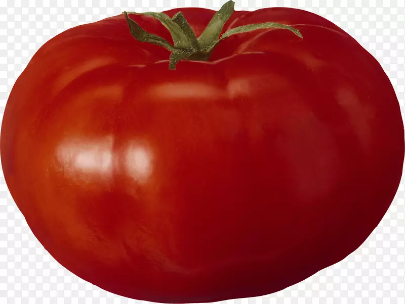 番茄蔬菜-番茄PNG图像