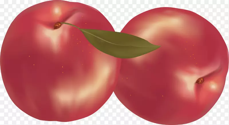 水果油桃剪贴画-桃PNG图像
