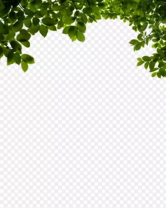 剪纸艺术-灌木丛png图像