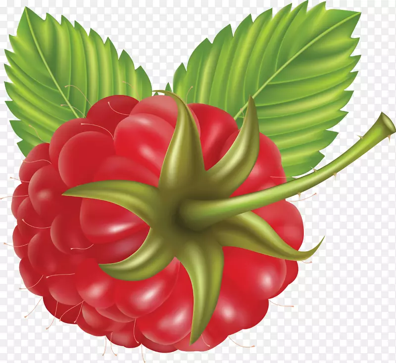果汁蓝莓黑莓-覆盆子PNG图像