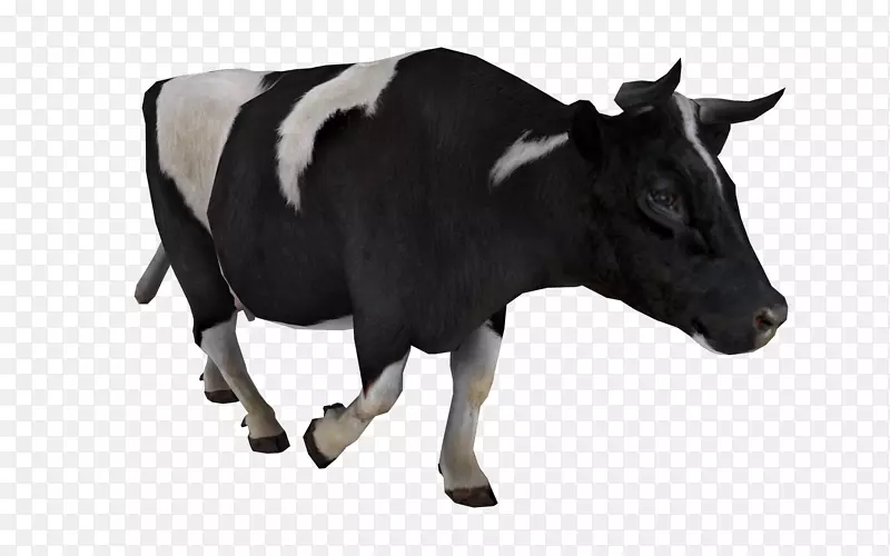 牛畜标签-牛PNG图像
