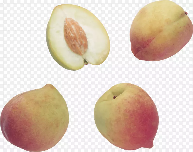 桃子和奶油玫瑰科冰鱼-桃子PNG图像