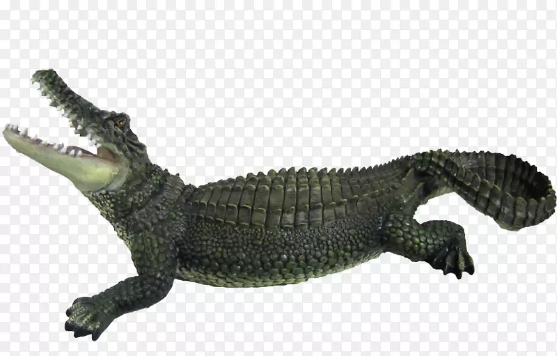 鳄鱼夹鳄鱼-鳄鱼PNG