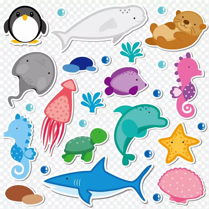 海洋动物收藏