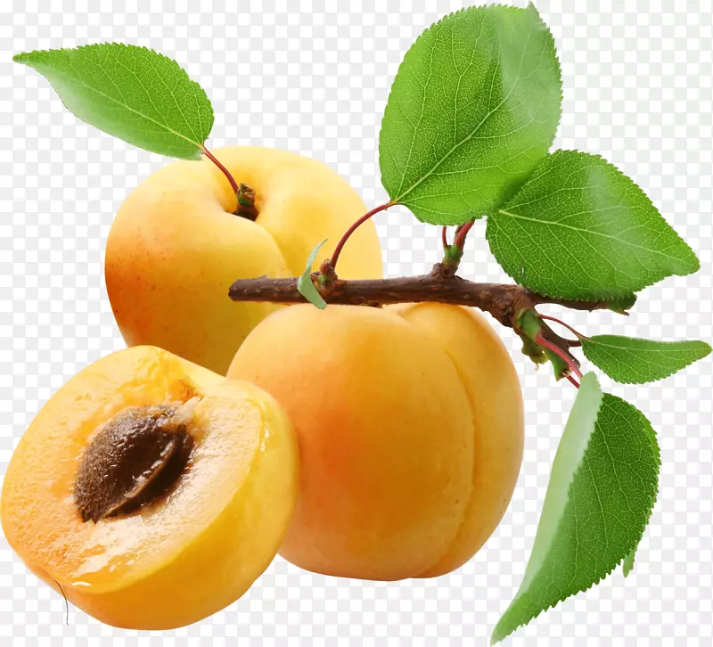 杏桃桃PNG图像