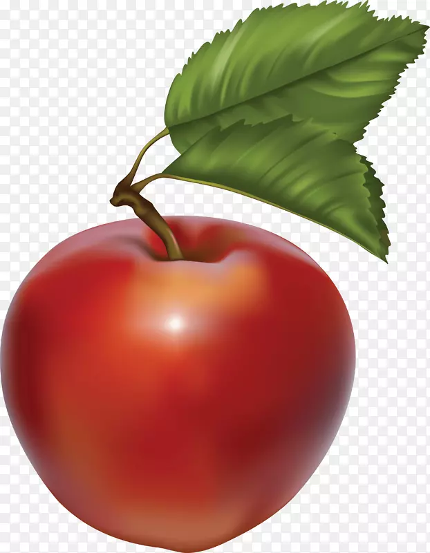 苹果派古董剪贴画-绿色苹果PNG形象