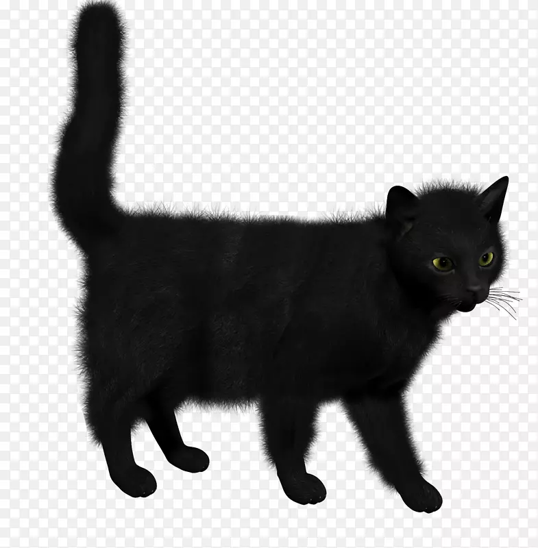 猫-猫PNG图像PNG图片素材下载_图片编号42590-PNG素材网