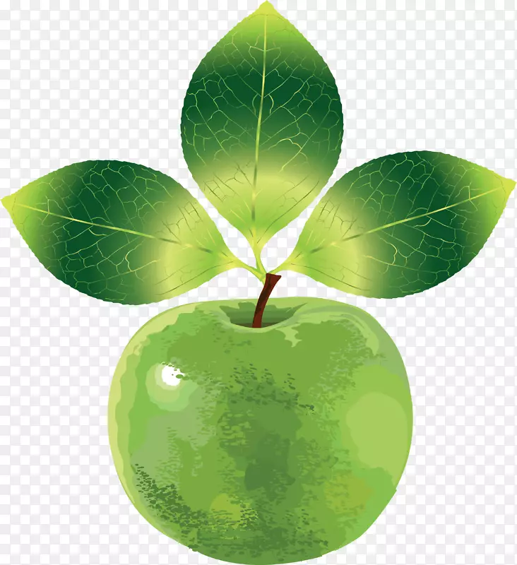 iphone x Apple macintosh Nasdaq：AAPL新闻-绿色苹果png图片