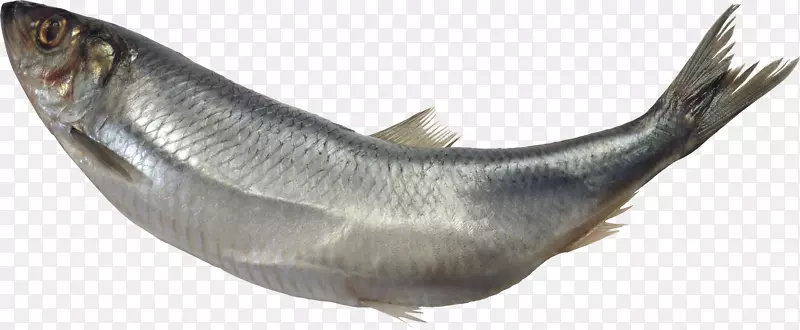 巴布亚新几内亚鱼作为食用鱼