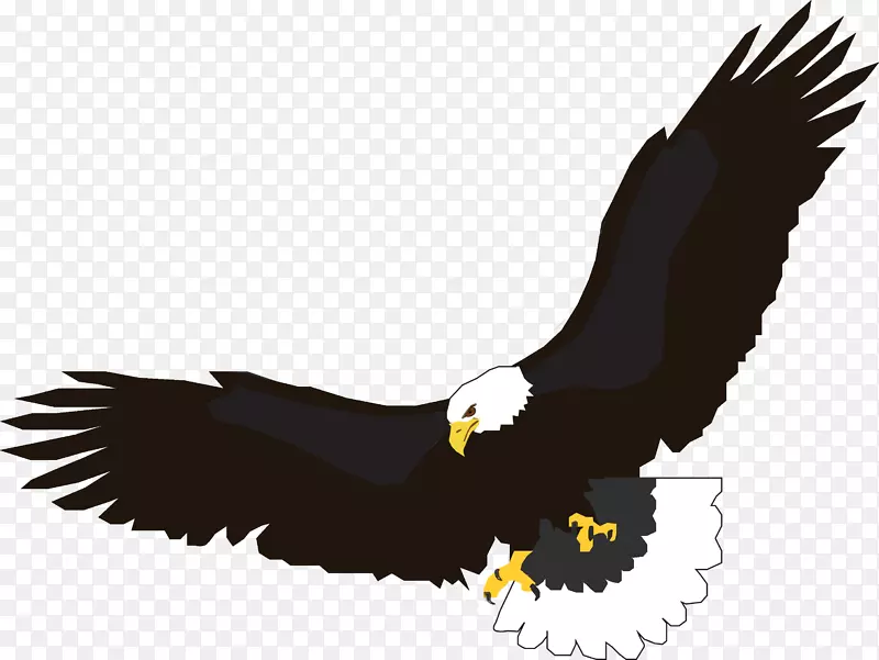 飞行鹰剪贴画-飞鹰PNG图片，全球偶像网免费下载