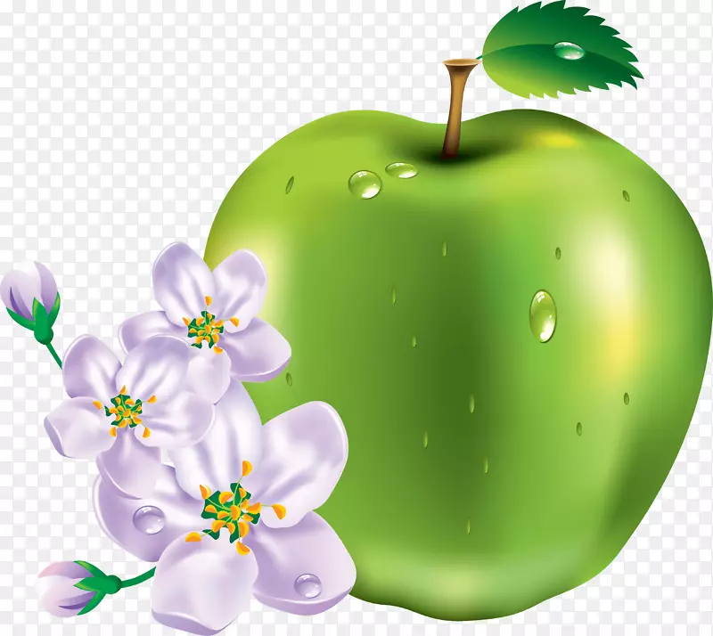 苹果剪贴画-绿色苹果PNG图像