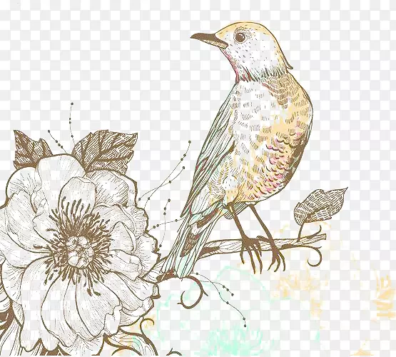 古典花卉图案背景阴影鸟图片
