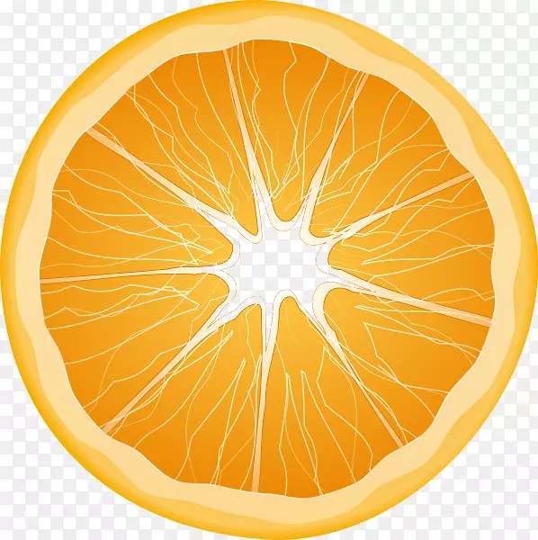 果汁橙片剪贴画-免费下载PNG