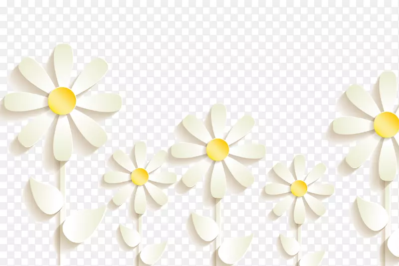 白色浮雕三维花卉