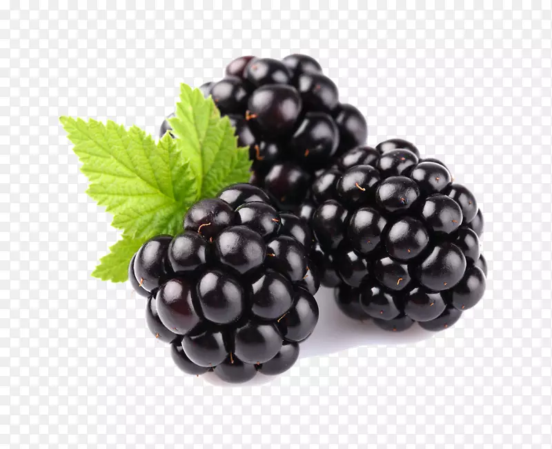 黑莓果实蓝莓成熟-黑莓水果免费下载PNG