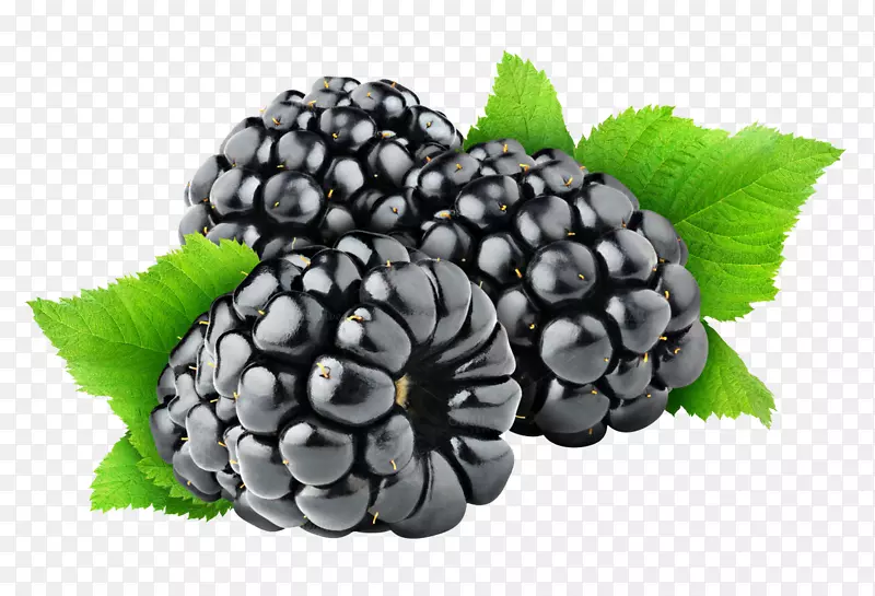 黑莓鞋匠水果蓝莓-黑莓无果PNG图像