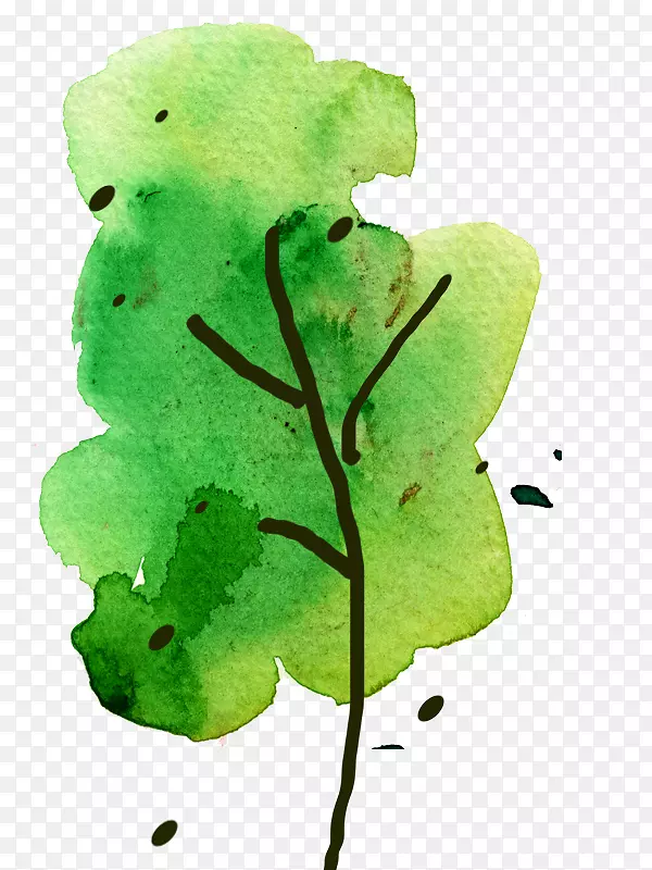 水粉漆树