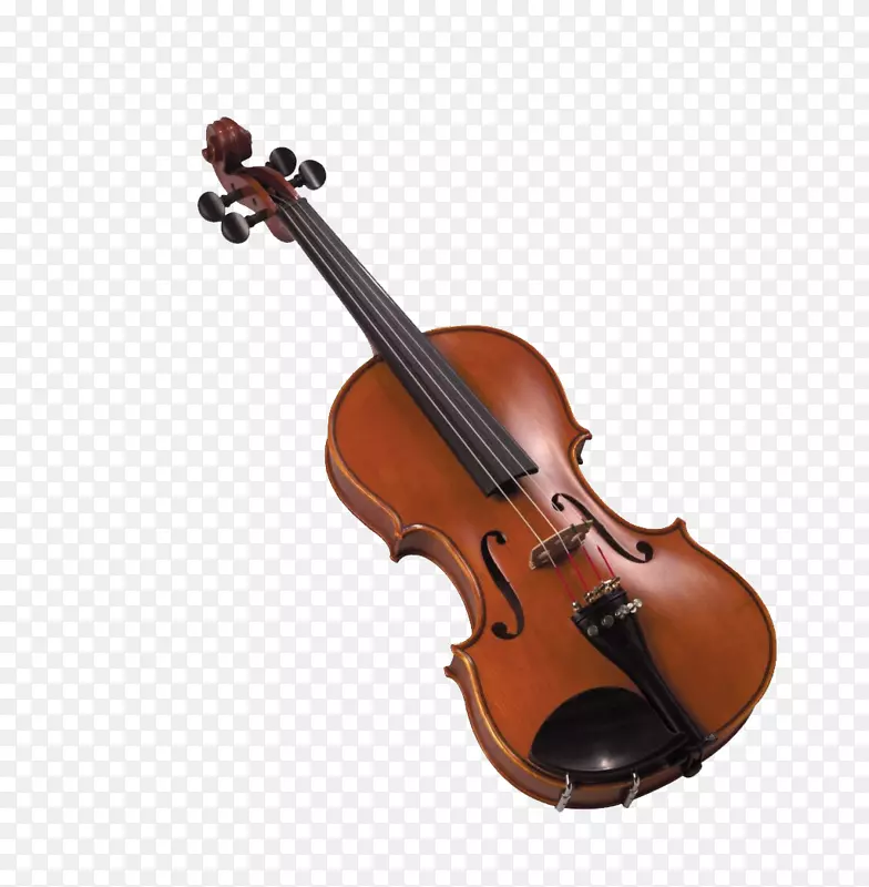 棕色小提琴