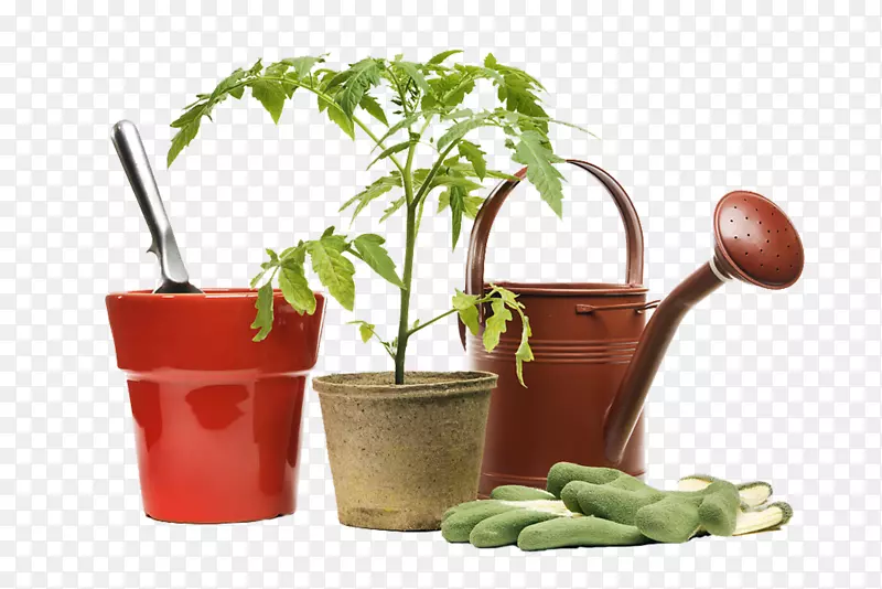 园艺工具和小盆栽
