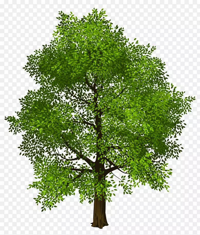 树绿剪贴画-透明绿树PNG图片