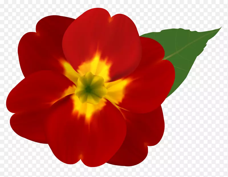 粉红色花朵黄色红色剪贴画-红色和黄色花朵PNG剪贴画