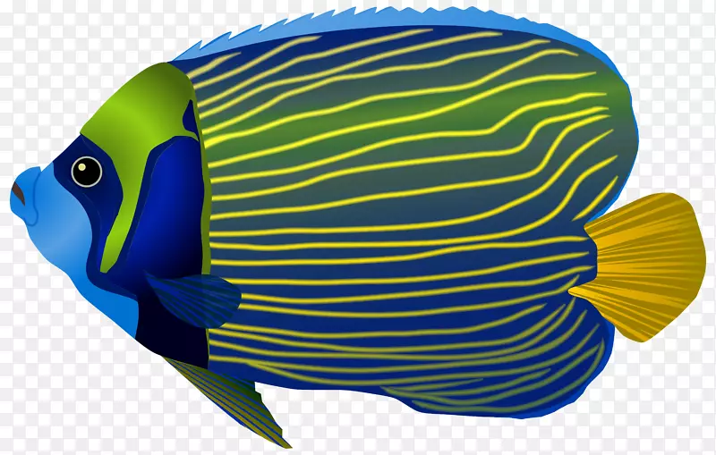 巴布亚新几内亚水下海鱼海蓝鱼Png剪贴画