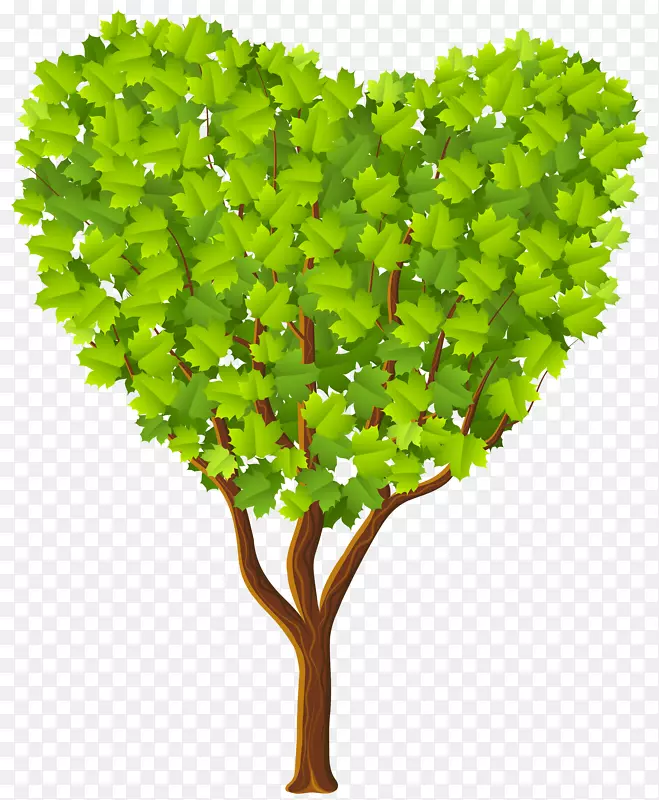 心树剪贴画-绿心树透明PNG图像