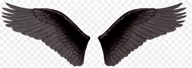 翅膀剪贴画-PNG翅膀