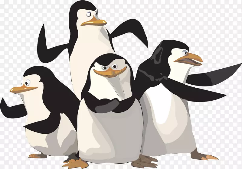 马达加斯加动画系列动画-马达加斯加企鹅PNG