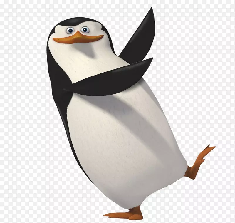 企鹅-马达加斯加企鹅PNG