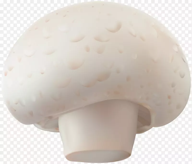 普通蘑菇-香菇透明剪贴画图片