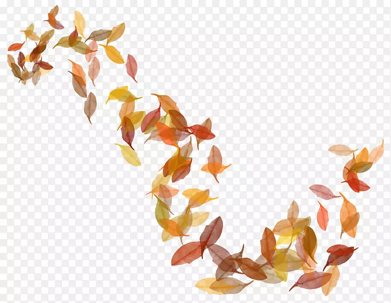 秋叶颜色-透明秋叶PNG图像