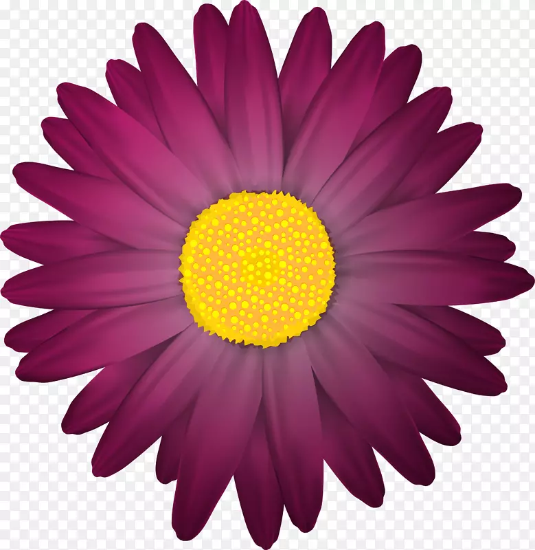 花卉剪贴画-暗花透明PNG剪贴画图像