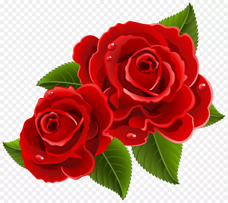 玫瑰心情人节剪贴画-红玫瑰美丽的攀枝花图片