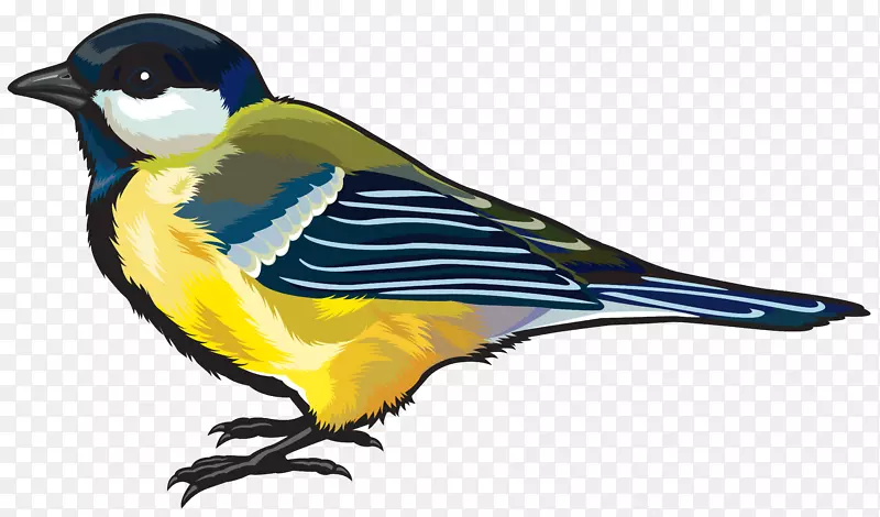 鸟类剪贴画-大型鸟PNG剪贴画