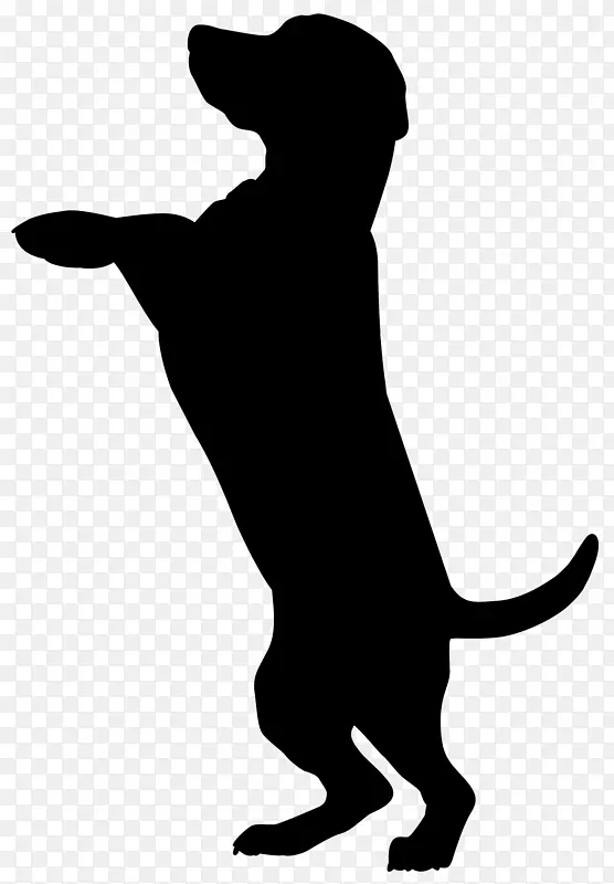 拳击手Dobermann猫宠物坐姿剪影-狗剪影PNG剪贴画图片