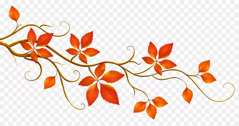 秋叶彩色枝条剪贴画.带有秋叶的装饰性枝条