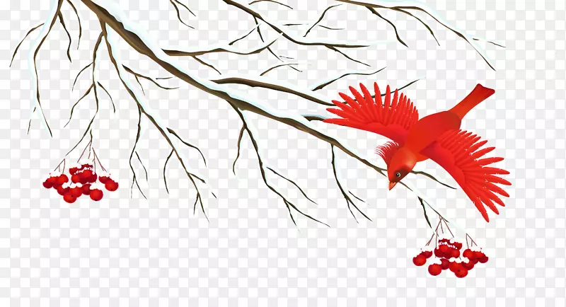 冬季图标-冬季雪枝与鸟PNG剪贴画