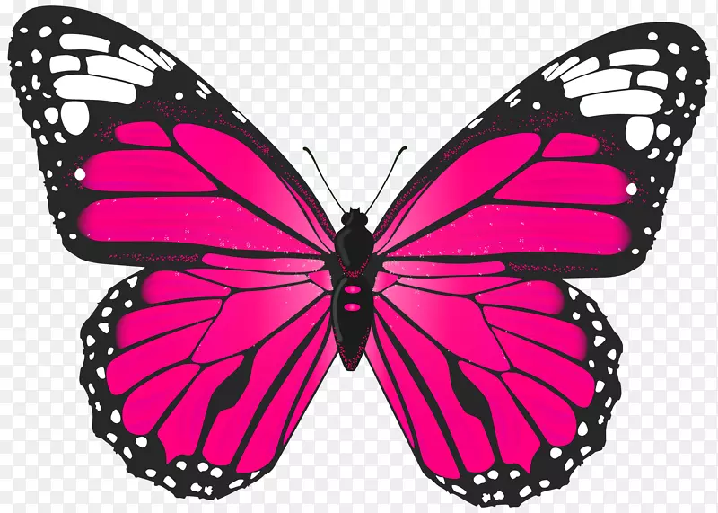 粉红蝴蝶玩具蝴蝶灌木粉红蝴蝶床及早餐-粉红蝴蝶PNG透明剪贴画图片