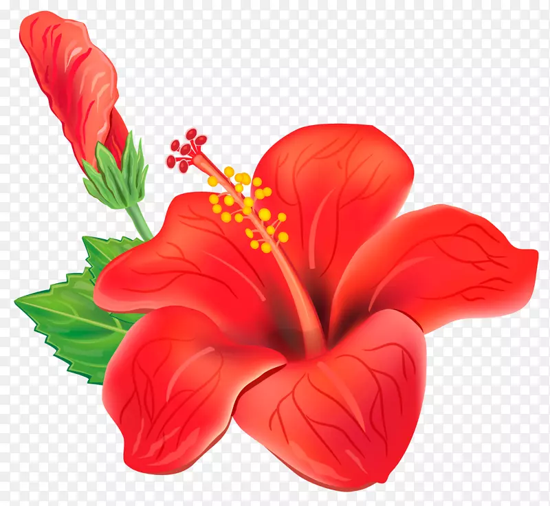 花卉剪贴画-红色异国情调花PNG剪贴画