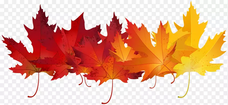 秋叶彩色剪贴画-红色秋叶透明剪贴画图像