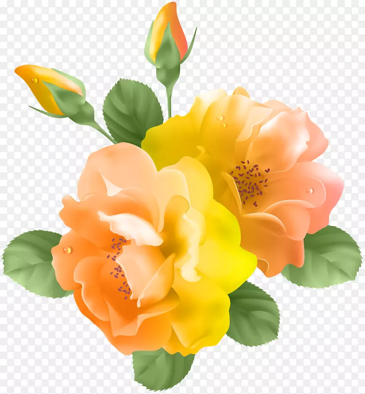 紫玫瑰汤姆巴克斯特剪贴画-黄色橙色玫瑰透明PNG剪贴画