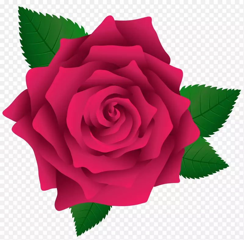 玫瑰粉色剪贴画-粉红色玫瑰PNG图像剪贴画