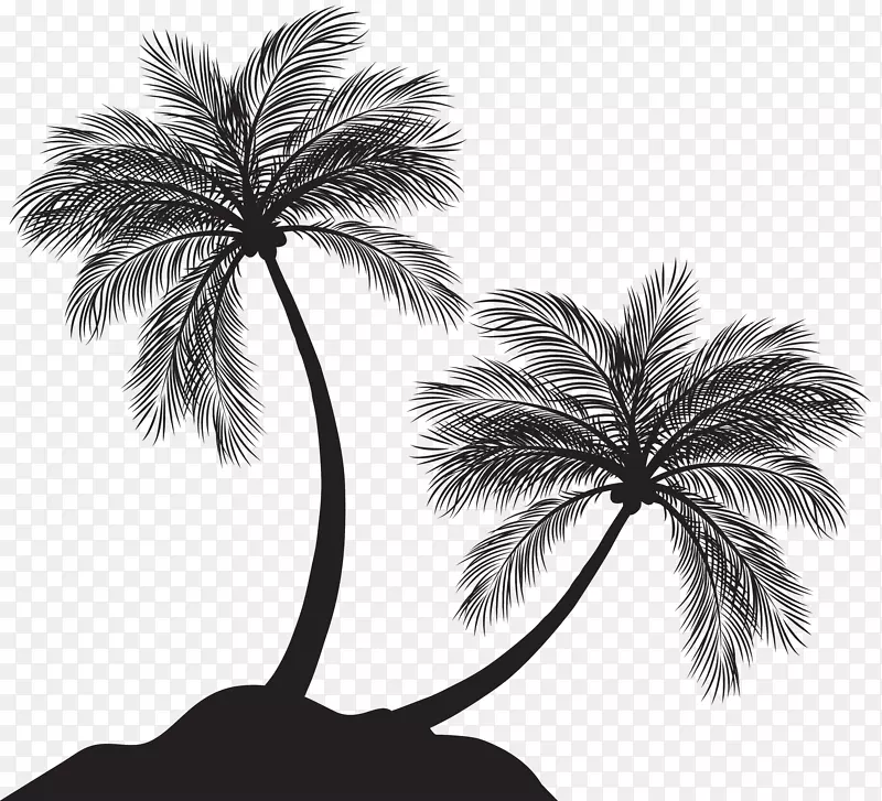 槟榔科剪影剪贴画-两棵棕榈树剪影PNG剪贴画