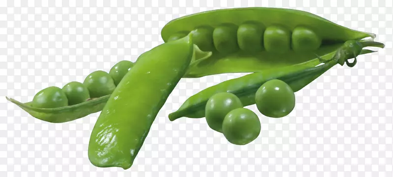蔬菜豌豆夹艺术-豌豆PNG