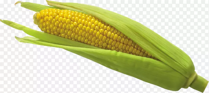 玉米芯糯玉米上的Flint玉米-玉米PNG图像