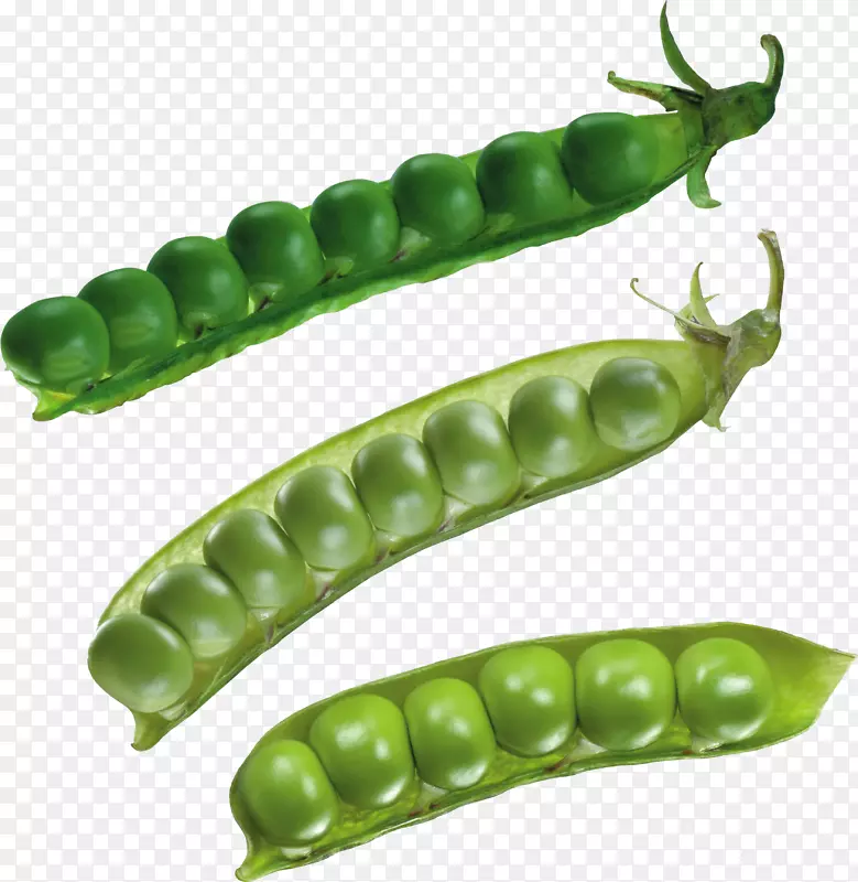 豌豆汤分割豌豆无脉冲电活动蔬菜豌豆PNG