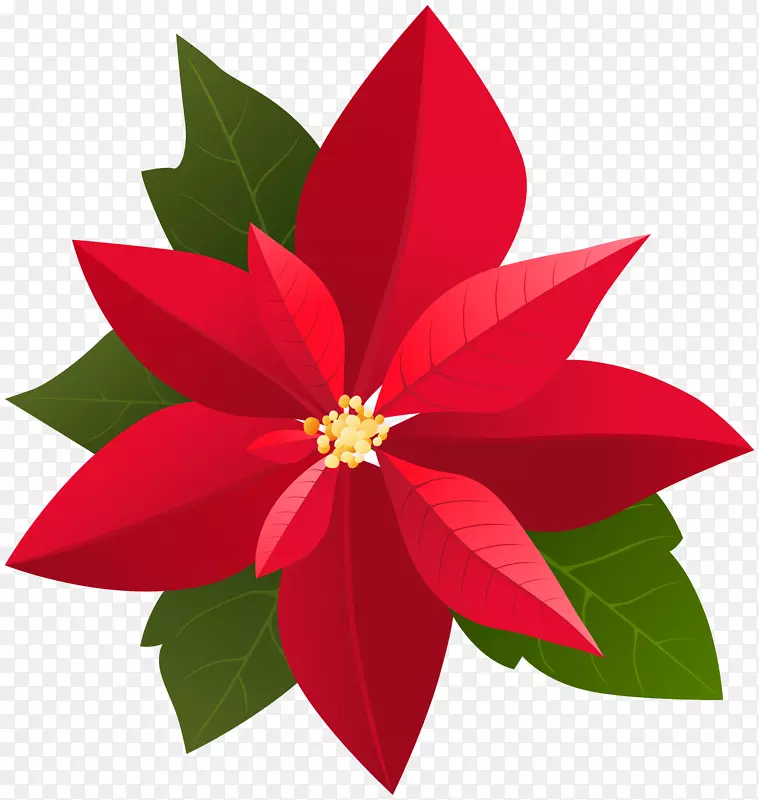 2018年克莱斯勒Pacifica混合圣诞贝法纳剪贴画-圣诞一品红PNG剪贴画