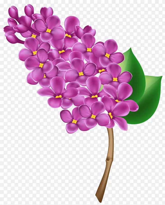 紫丁香插花艺术-紫丁香透明PNG剪贴画图像