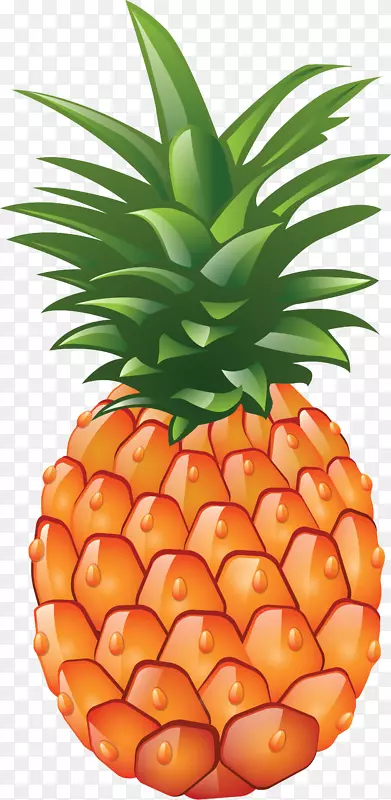 果汁菠萝图标-菠萝图片，免费下载